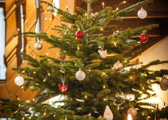 Müllenborn Hotel Gerolstein